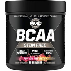 BCAA 자극 없는 아미노산 운동 성능 력 에너지 머슬 빌더 파우더 드링크 믹스 30인분, 해변에서의 즐거움, 1개 - 실크아미노산파우더