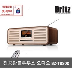 브리츠8800