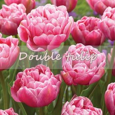 125dd6a49c80572f1adc63e637f9a9330b3b5f285f69dff612dcfa5d9f34.jpg