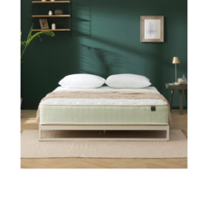 지누스그린티하이브리드