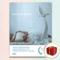 빛과물질에관한이론