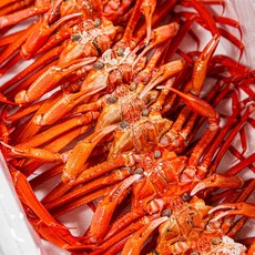포항 자숙 연지홍게 3kg 구룡포 당일조업발송 수율70%보장 가성비, 1개, 3kg(9-12미)