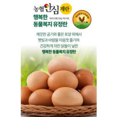 한솔양계