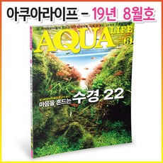 아쿠아라이프 2019년 08월호