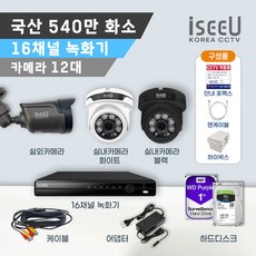 iseeU 국산 540만화소 올인원 CCTV 세트 16채널 녹화기 감시카메라 가정용 실내 실외 패키지 자가설치, 12. 카메라12대+어댑터+CCTV케이블12개, 03. CCTV전용 하드디스크 2TB, 1개 - cctv16채널녹화기