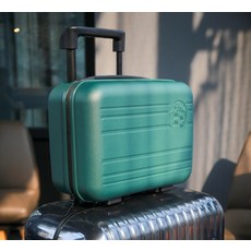 스타벅스서머캐리백그린