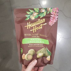 하와이안호스트
