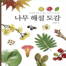 나무해설도감