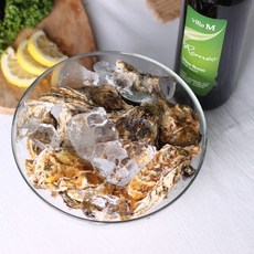 통영 삼배체 통굴 사계절 반손질 하프셀 1kg, 삼배체 통굴 1kg, 1개