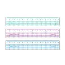 1200 컬러 방안자(20cm), 블루, 1개
