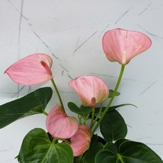 9051aa73a0c85997998ef35af07c7f2e669decd4e669f5cad6b56fba084a.jpg