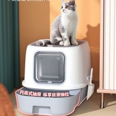 미친화장실