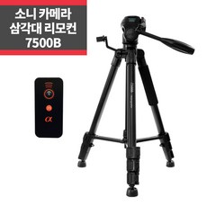 마인그라피7500b