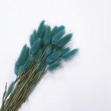 d8c91b30e8ee3ee26dd301f3bdf2b66ff792681303b03a3d0adf4aee4c36.jpg