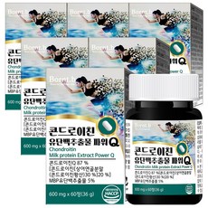 본트비 콘드로이친 MBP 유단백추출물 파워Q 상어 연골 칼슘 600mg x 60정, 6개