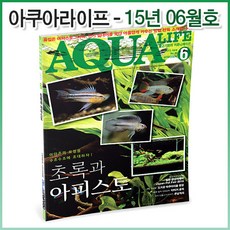 아쿠아라이프 2015년 06월호