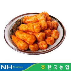 한국농협 마이산김치 국내산 알타리 총각김치 3kg, 1개