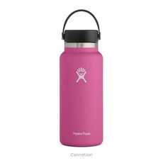 하이드로플라스크 Hydro Flask 대용량텀블러 946ml/1180ml, 로즈 레드, 1개