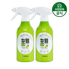 유한양행 아름다운 주방세제 포밍스프레이 용기 485ml 2개