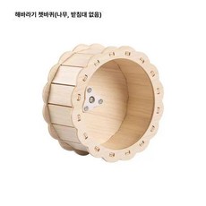 골든햄스터 놀이터 미니 둥지 1개 장난감 아크릴, 목재 바퀴 21cm