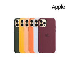 Apple 정품 아이폰13 맥세이프 실리콘 케이스 미니 프로 프로맥스