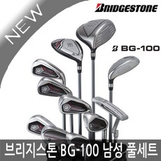 브리지스톤bg100l