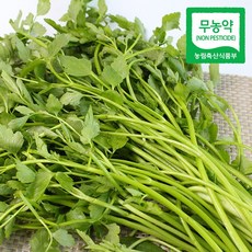 [햇님농장] 청도 무농약 한재 미나리 2kg, 1세트