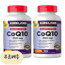 커클랜드 시그니처 코큐텐 300mg 100개입 x2팩 [미국 직배송], 2개, 100정, 100개