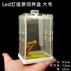 사마귀 번식 상자 곤충 청개구리 파충류 지저귀는 거미 점프 애완 동물 메쉬 케이지, LED조명 조명 조경사육상자/대형, 1개