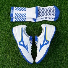 모렐리아웨이브