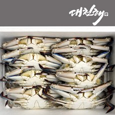 서해안 가을꽃게 생물 3kg (9~15미), 1개