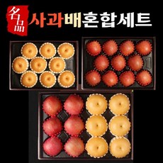 나선식선물세트