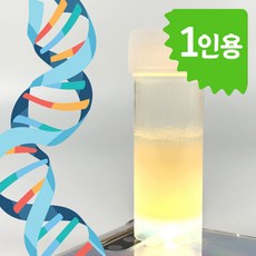 DNA 추출 실험 키트 1인용 과학교구 실험교구