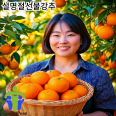 백화점에도 납품 되는 제주도 직송 프리미엄 고당도 천혜향 15brix 이상 선물용 가정용 (저희 가족도 먹습니다^^), 1세트, 2키로(6~12과 내외)