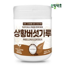 국산 100 상황버섯가루 100g, 1개