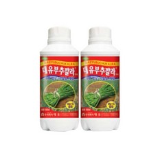 제부도포도농장체험