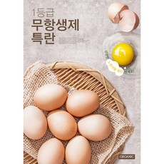 무항생제 유정란 40구 건강한 계란 자연방목 임산부 청소년 영양보충, 1개
