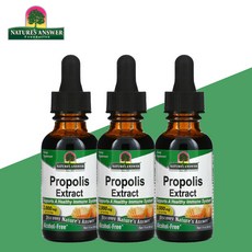 네이처스앤서 프로폴리스 추출물 알콜프리 2000mg 30ml 리퀴드 3개