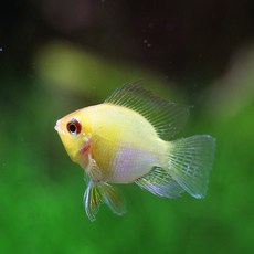 d5fe5321d26f71c74d72027232ee8e18e7885abf8006e8d8bd4413955db7.jpg