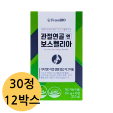 프롬바이오보스웰리아 오늘의 스페셜 아이템, 지금 확인! 인기 상품 추천 제품 2024