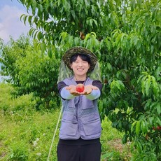 거반도복숭아-추천-상품