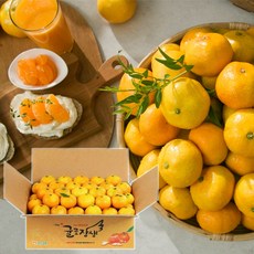 제주농협귤로장생