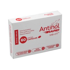 안티놀(Antinol) 안티놀 래피드 (고양이 관절 영양제) 60 소프트젤 캡슐, 1개 - 안티놀래피드