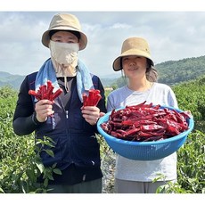 빛깔찬 2024년산 영양 고춧가루 1개 양념용(순한맛) 1kg 상품 이미지