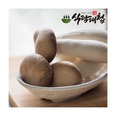 신선채소 영양가득 국내산 미니새송이버섯 2kg, ONE COLOR, ONE SIZE