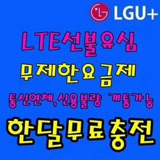 디시모바일 LGU+무약정 선불폰 선불유심 무제한요금제 한달공짜 유심개통, 1개, LGU+유심개통