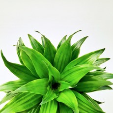 848ffb139cb18238d709d236af77f4466827a8d252d47b7ea2d547e94599.jpg