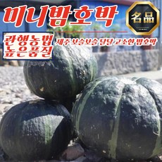 제주 농부 미니밤호박 6kg (12-30개), 1개