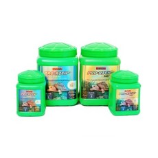 레이저백거북이