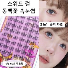Arison 가닥 속눈썹 자연스러운 스위트 걸 동백꽃 부분 속눈썹10줄 대용량 60p C라인 블랙라인 8-12mm, 1개, 60모
